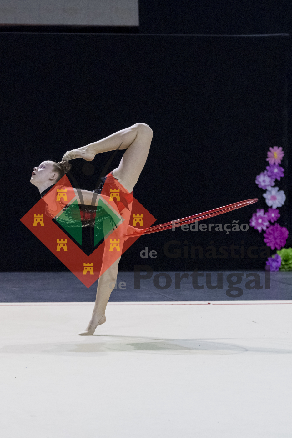 1786_Taça de Portugal GR